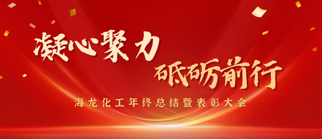 表彰 | 凝心聚力，砥礪前行，海龍化工年終總結暨表彰大會圓滿舉行